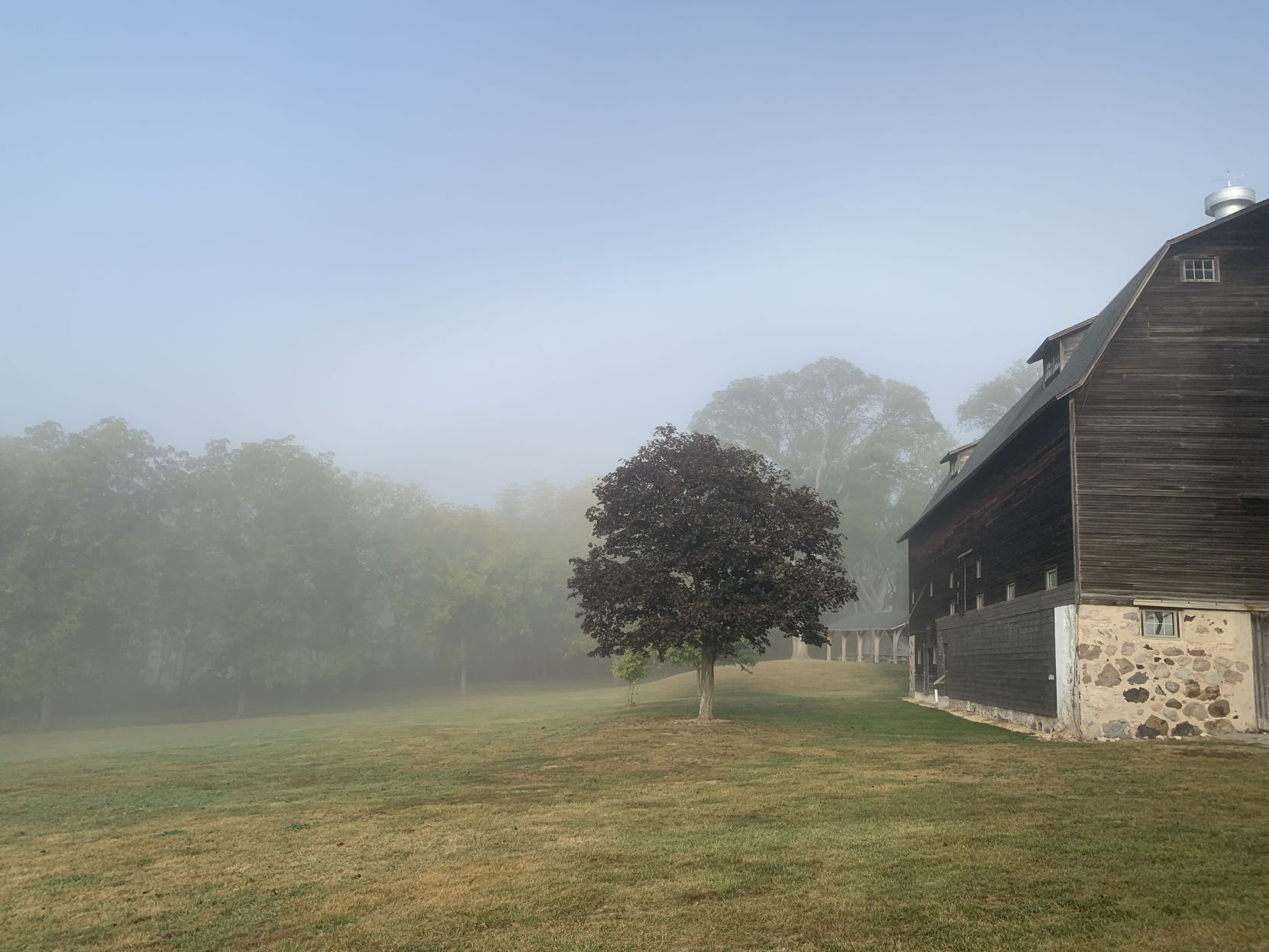Foggy morning at White River County Park